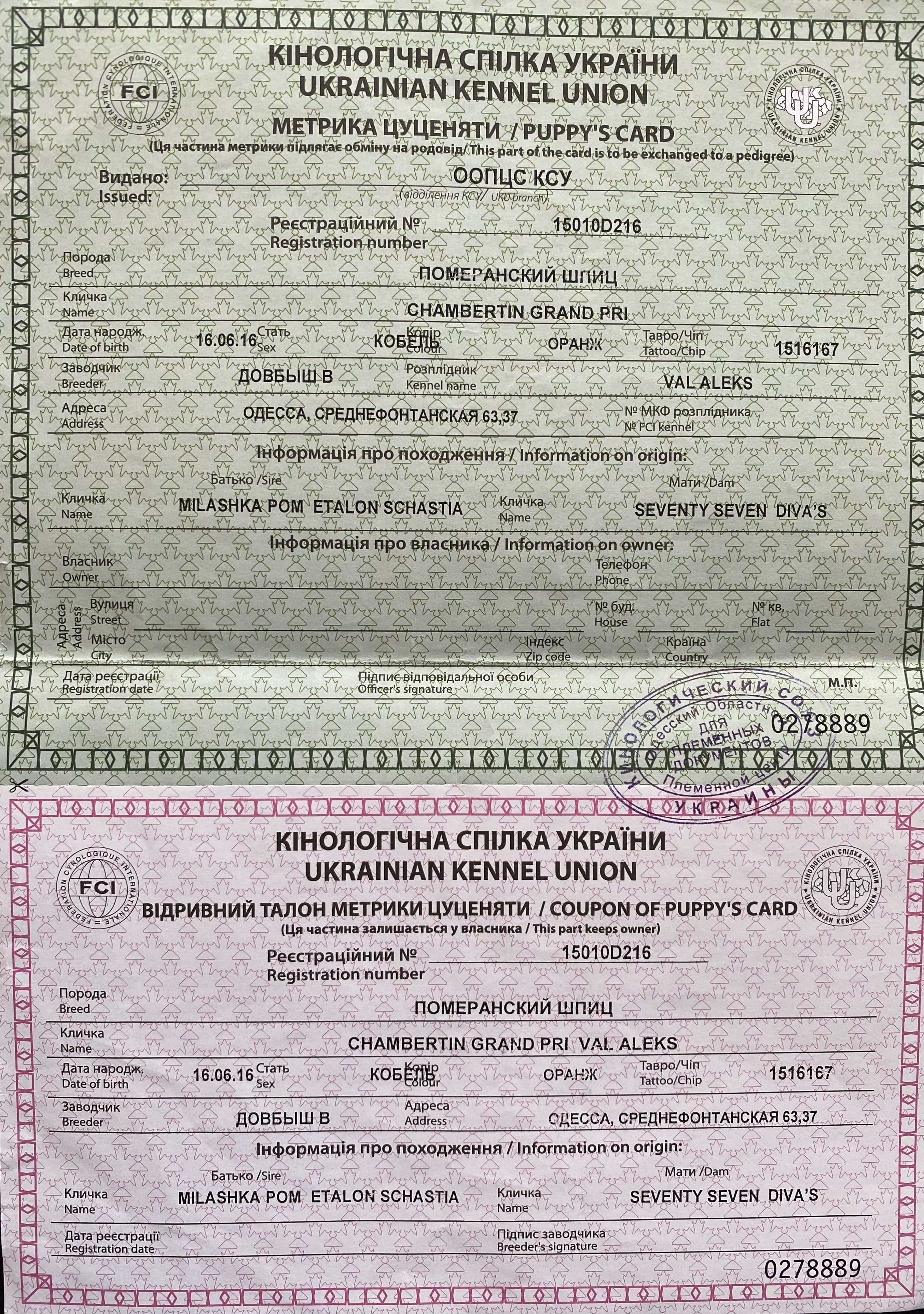 Ücretsiz İlan Ver - bikopek.com
