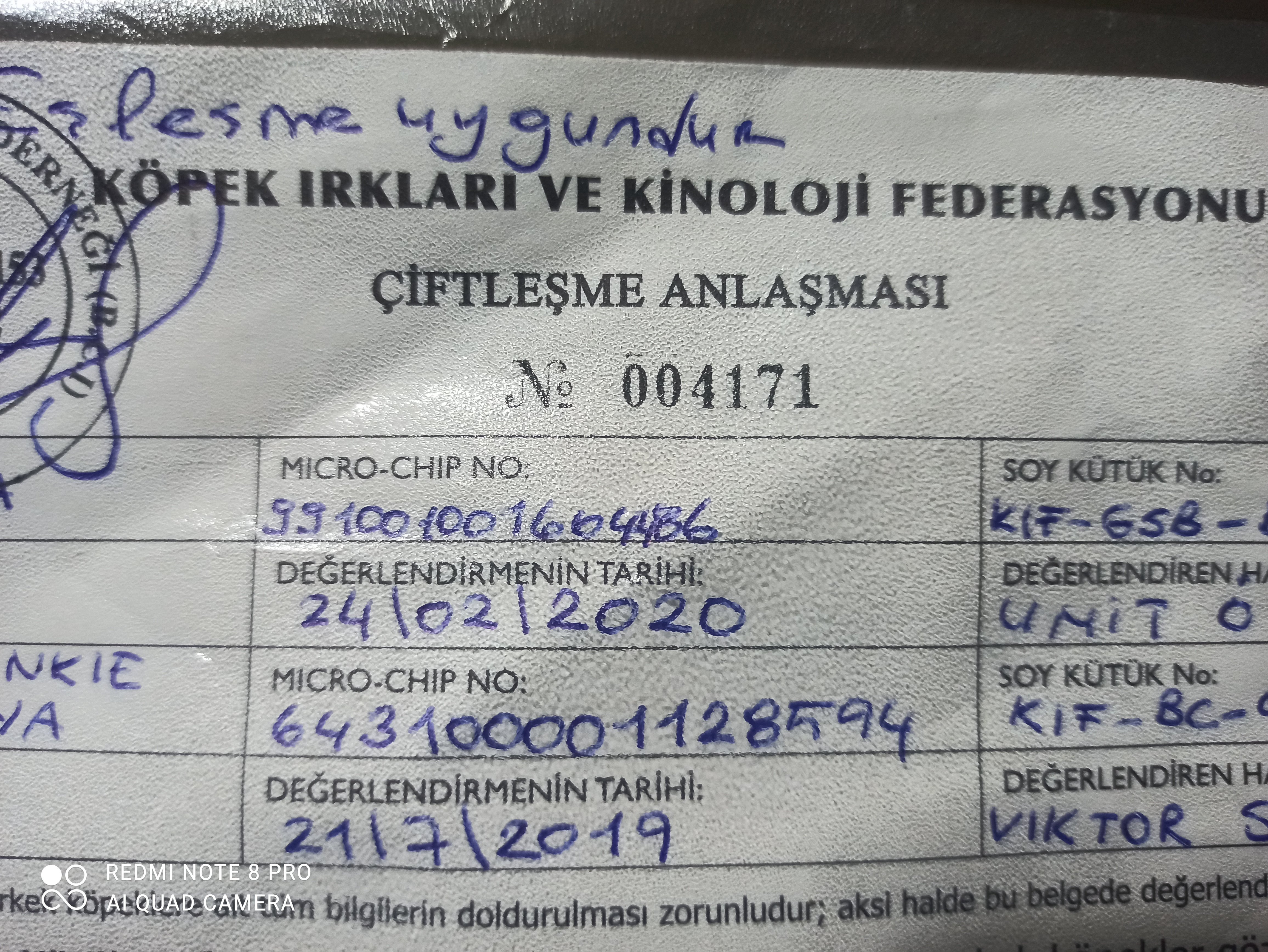 Ücretsiz İlan Ver - bikopek.com