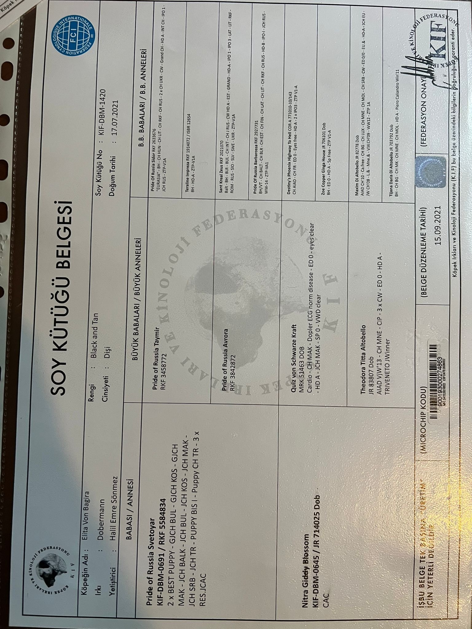 Ücretsiz İlan Ver - bikopek.com