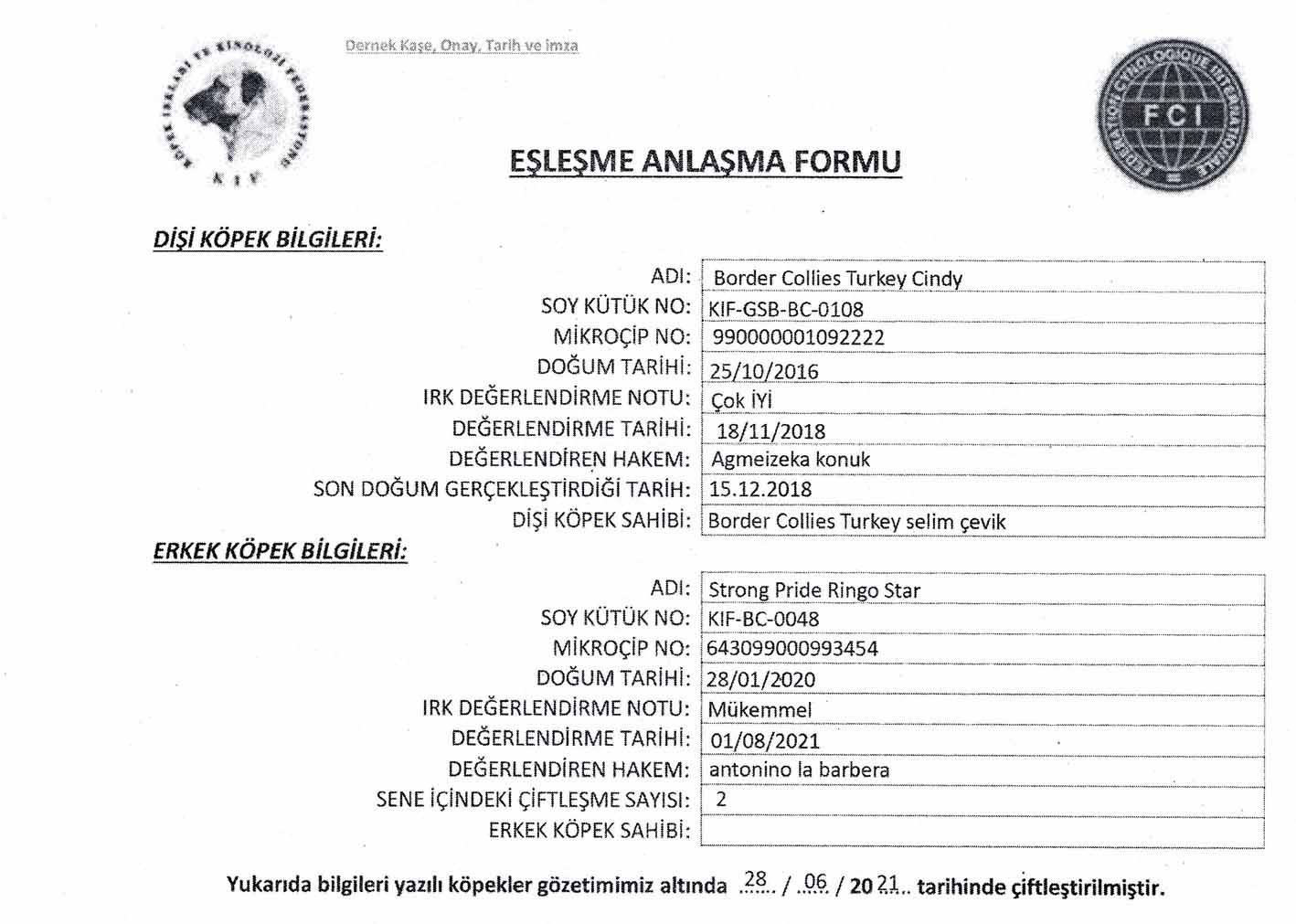 Ücretsiz İlan Ver - bikopek.com