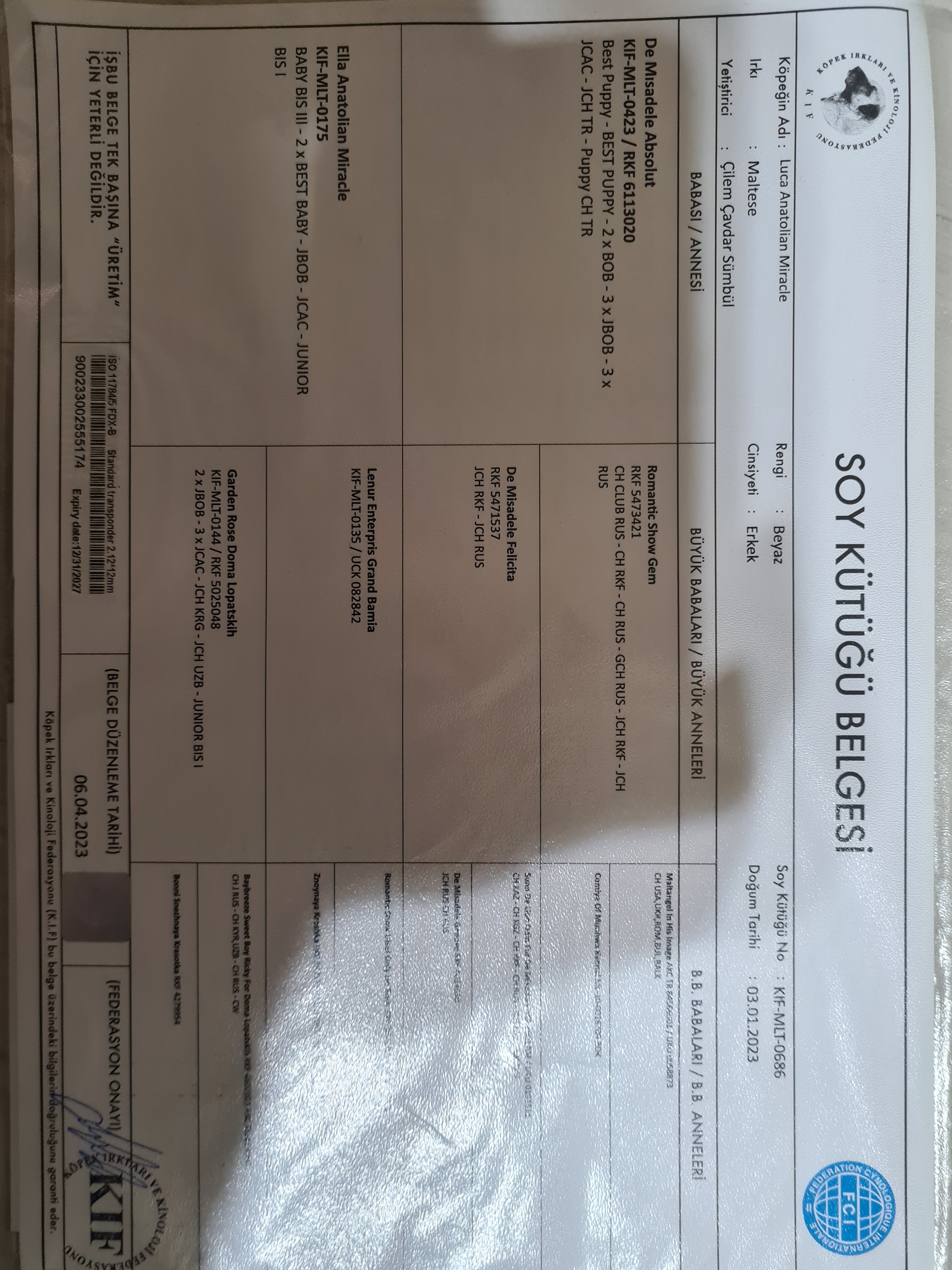 Ücretsiz İlan Ver - bikopek.com