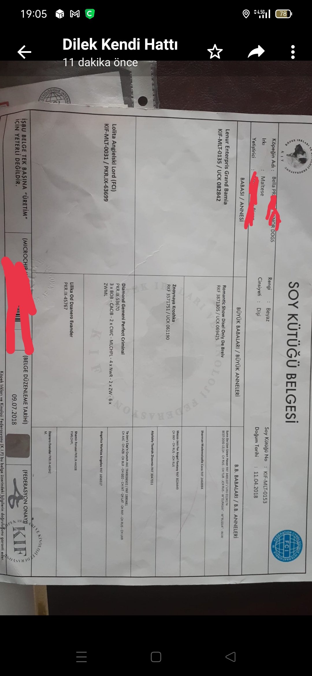 Ücretsiz İlan Ver - bikopek.com