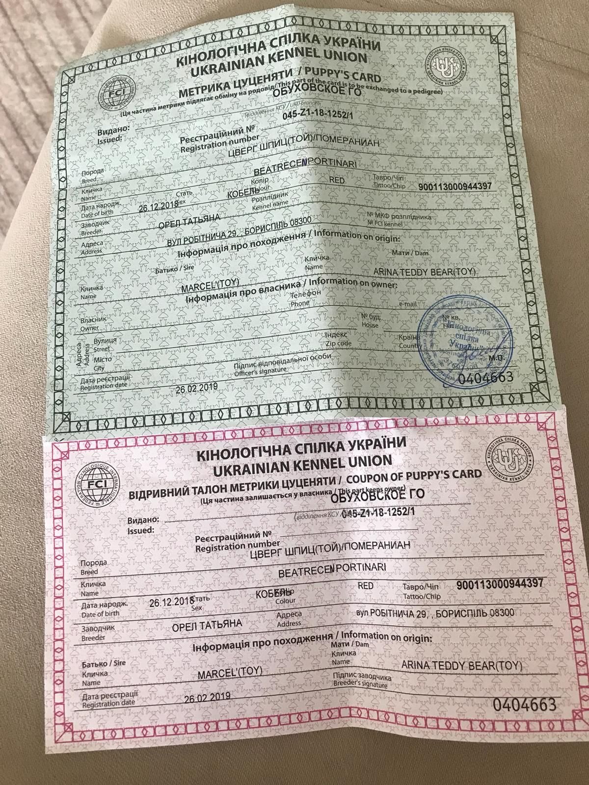 Ücretsiz İlan Ver - bikopek.com