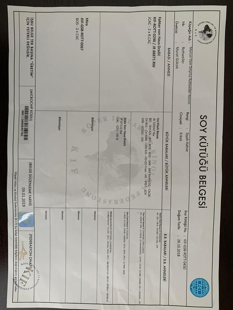 Ücretsiz İlan Ver - bikopek.com